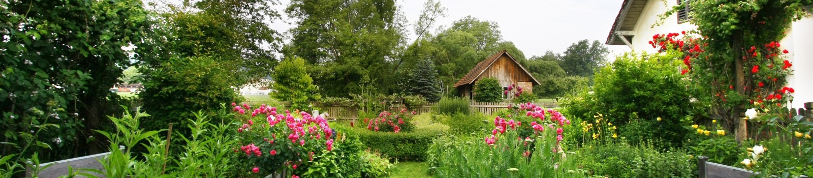 Garten im Hochsommer