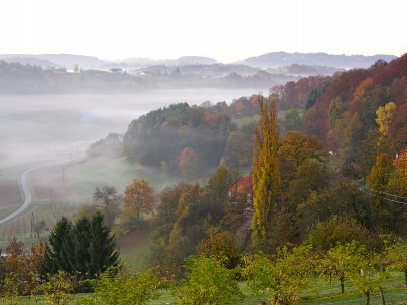 Wochenpauschale